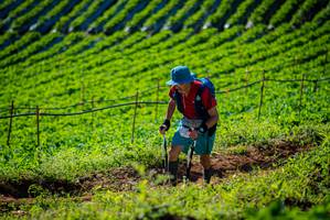 BIB: 
                            <button type="button" onclick="openModal(19160657)" class="btn btn-primary btn-sm float-right btn-popup" data-toggle="modal" data-target=".modal-high-quality">
                        <i class="fas fa-shopping-cart"></i> Add to Cart
                    </button>
                                            <button type="button" onclick="isThisMe(19160657, true)" class="btn btn-success btn-sm float-right btn-popup btn-isme hidden" data-toggle="tooltip" data-placement="bottom" title="นี่คือรูปของคุณใช่ไหม คลิกที่นี่เพื่อเอาเข้าอัลบั้ม">
                        <i class="fas fa-plus"></i> Add to album
                    </button>
                    <button type="button" onclick="isThisMe(19160657, false)" class="btn btn-warning btn-sm float-right btn-popup btn-isnotme hidden">
                        <i class="fas fa-ban"></i> Remove from album
                    </button>